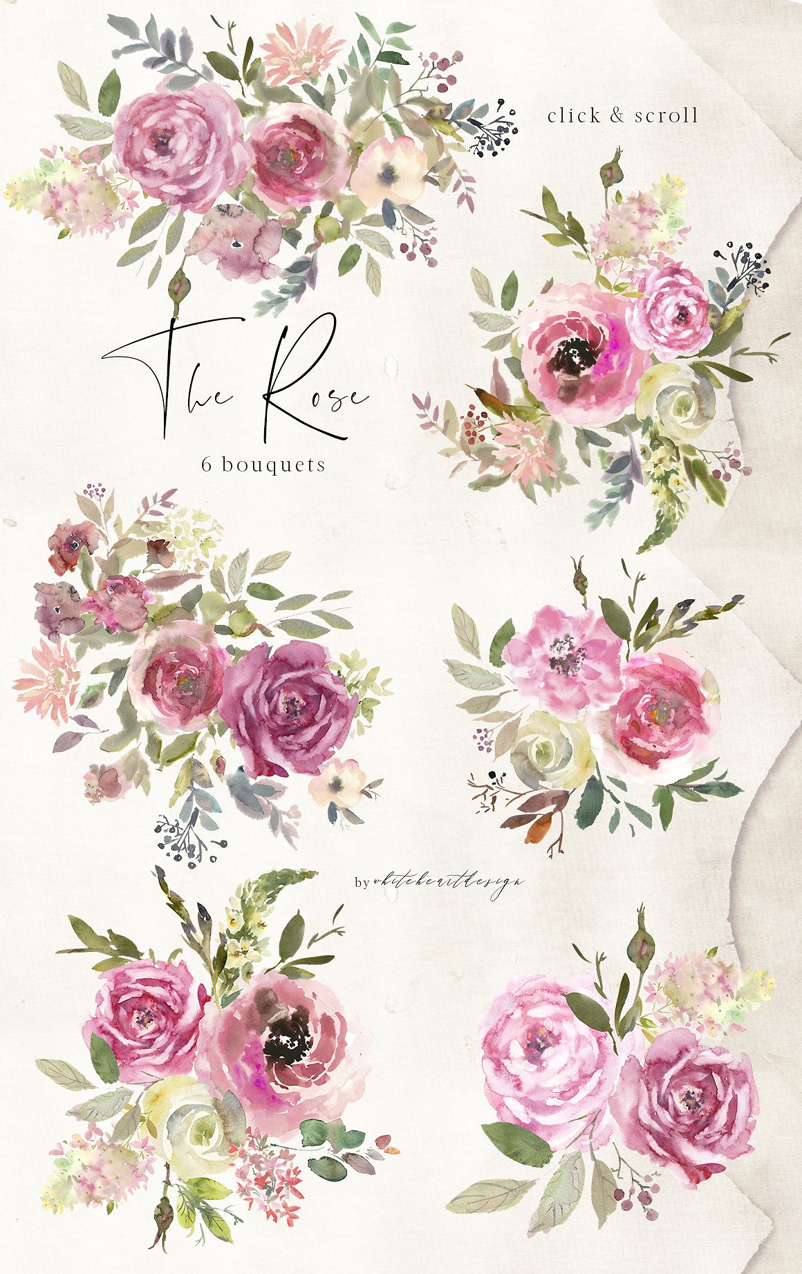 水彩玫瑰花花饰剪贴画 The Rose Watercolor Floral Clipart插图(1)