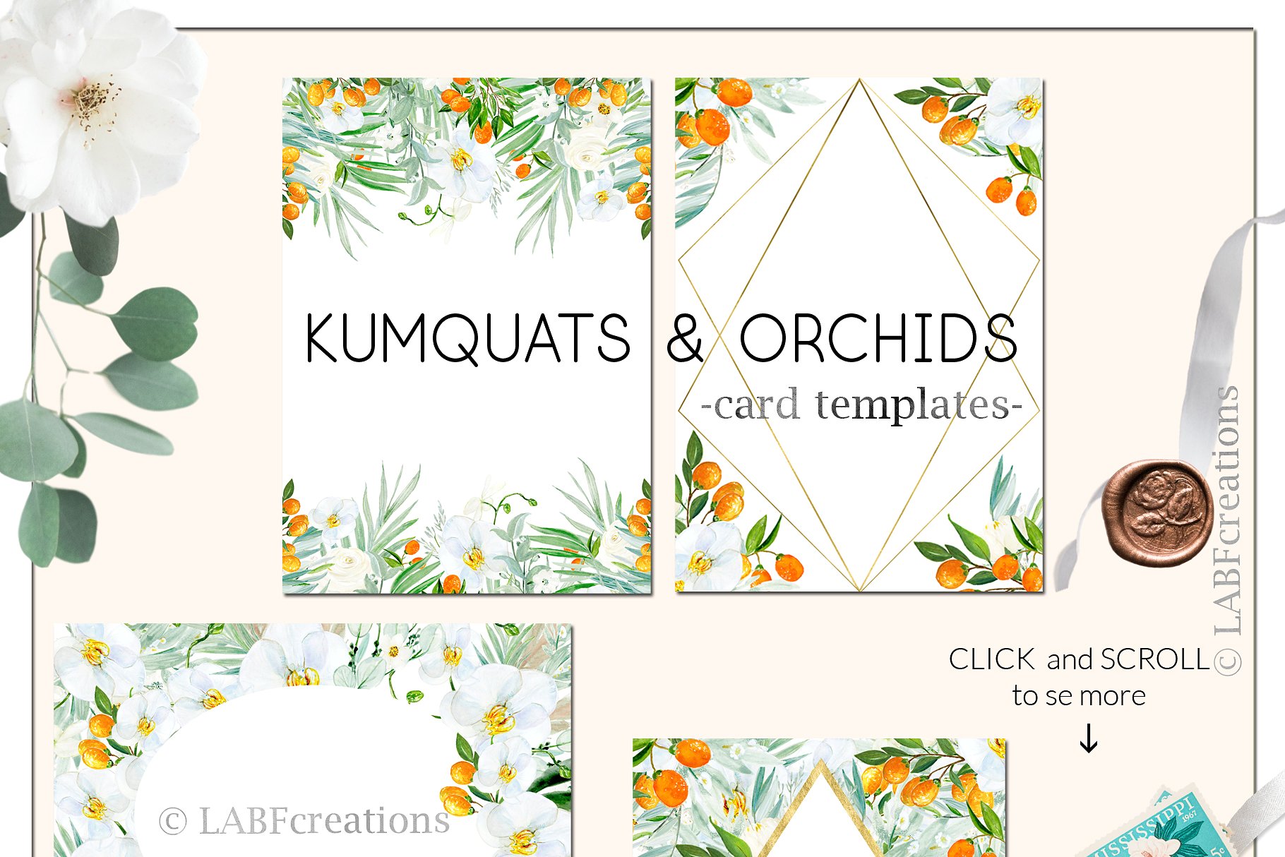 金橘和白色兰花手绘水彩画素材 Kumquat & white orchids. Watercolors插图(3)