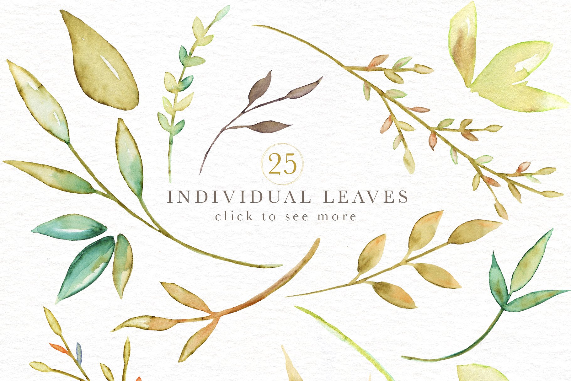 英伦花园水彩花卉元素素材合集 English Garden Watercolor Collection插图(8)