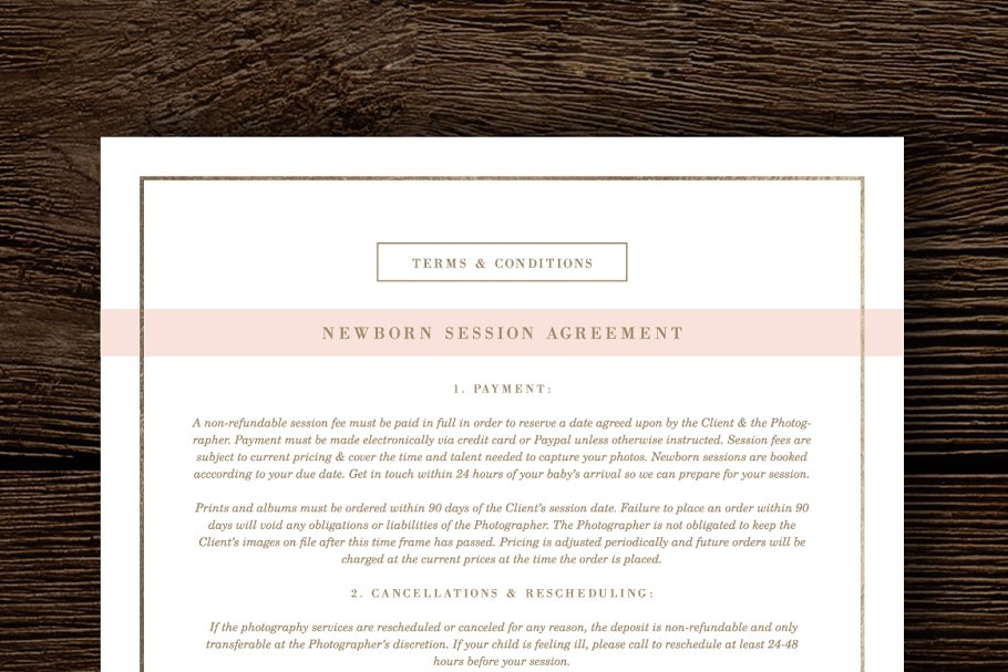 专业简洁摄影合同协议模板 Photography Contract Template插图(2)