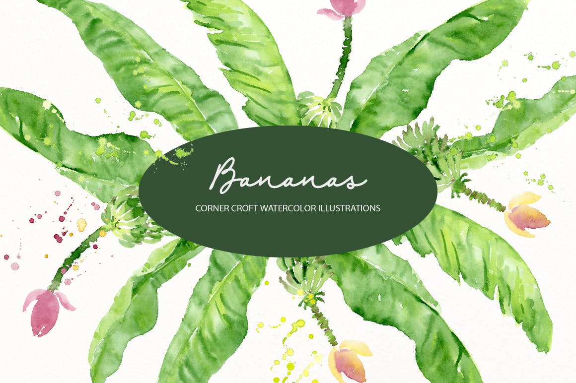 水彩香蕉&香蕉树手绘插画PNG素材 Watercolor Banana Illustration插图(5)