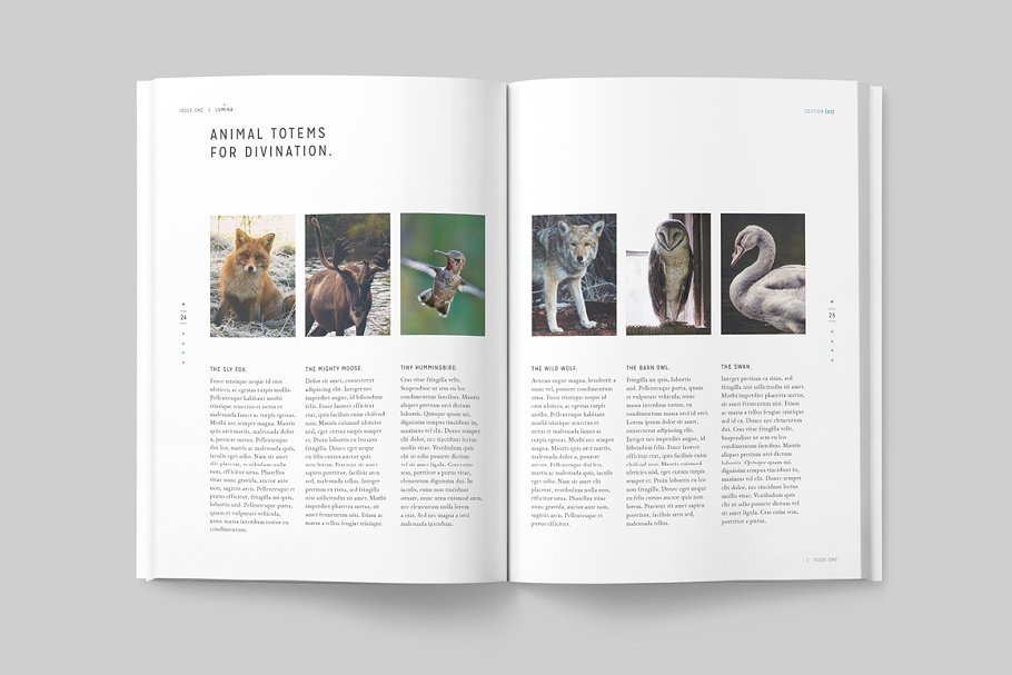 太空大自然主题杂志模板 LUMINA Magazine插图(12)