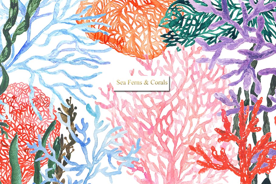 美人鱼与海水彩剪贴画 Mermaid sea. watercolor clipart插图(2)