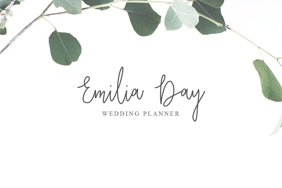 13款手写英文字体合集&Logo模板、矢量插画 Wonderland Fonts Pack & Branding Kit插图(68)