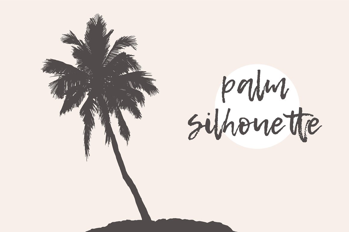 素描椰子树剪贴画 Illustration of a palm tree插图