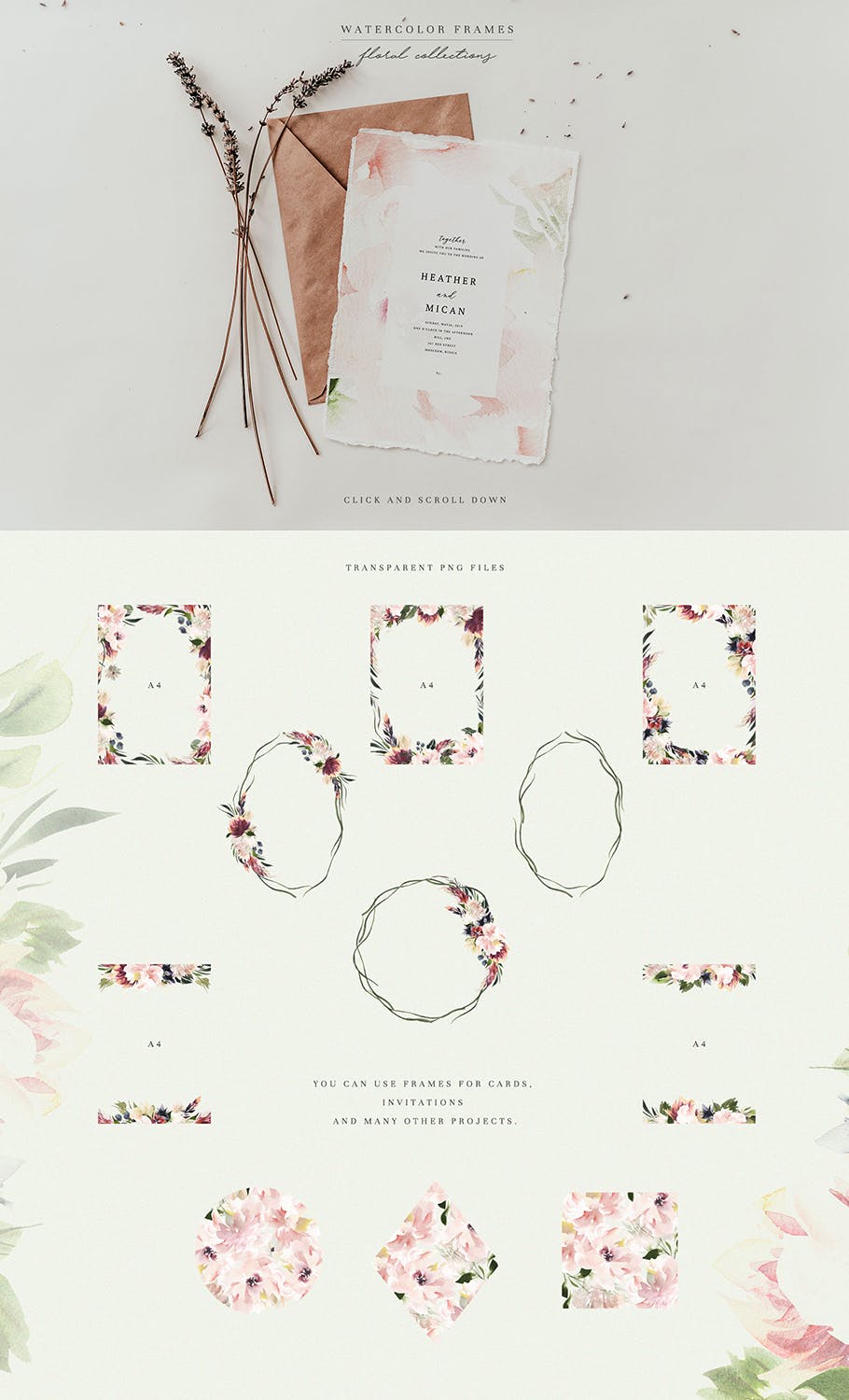 腮红色水彩花卉手绘高清PNG素材 Watercolor Blush & Plum插图(2)