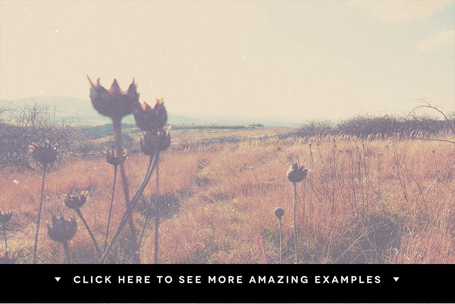 老照片怀旧效果叠层纹理 Dusty Overlay Textures插图(4)