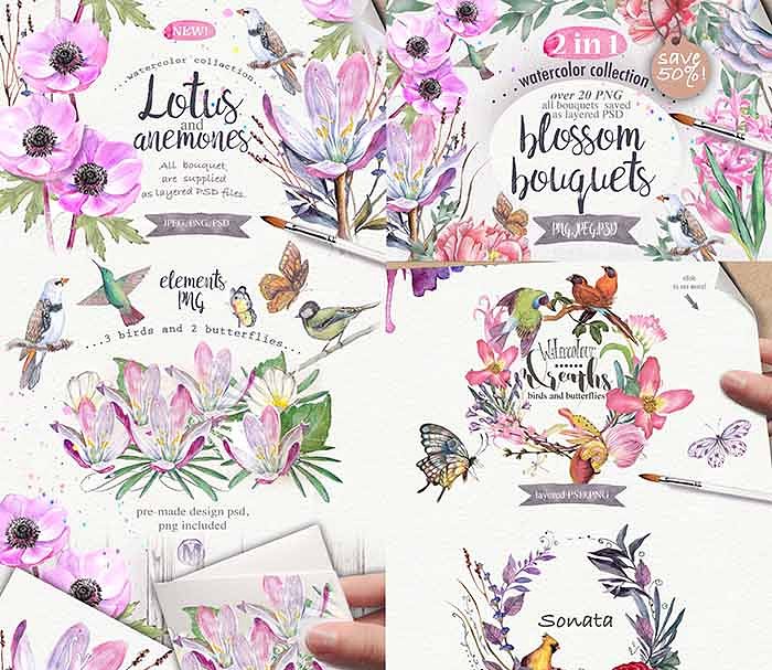 极力推荐：超级水彩元素设计素材包[2.5GB] Wildflowers pack 75 PNG插图(15)