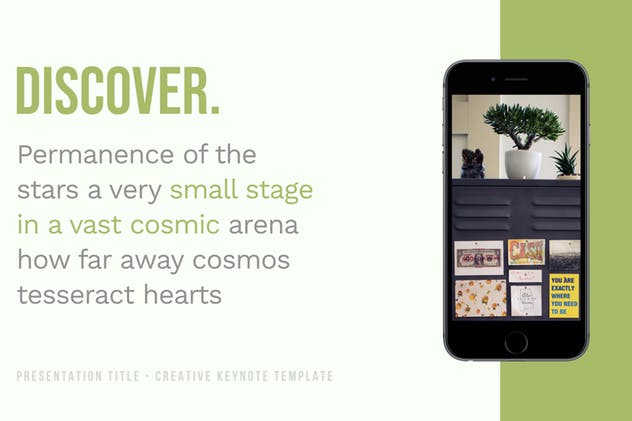 充满活力的PPT演示幻灯片模板 Mimosa — Powerpoint Presentation Template插图(7)