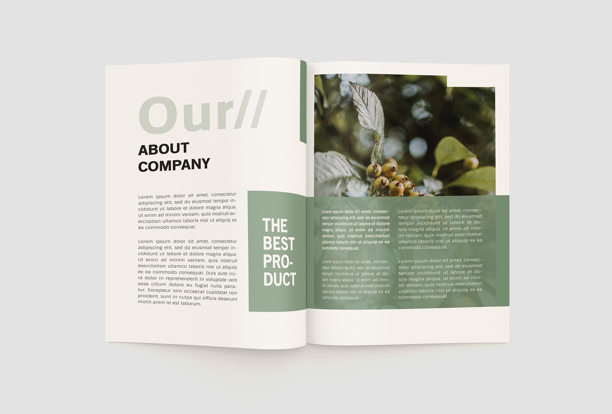 农业绿色食品公司简介企业画册设计模板 Agriculture Company Profile插图(5)