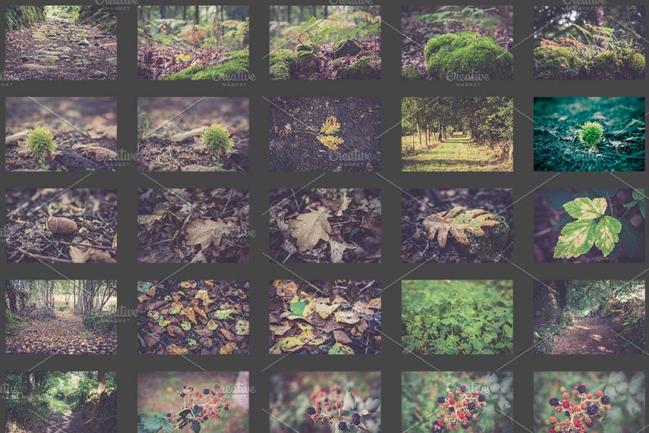 高清下雨天景色照片 Rainy day photo pack插图(2)