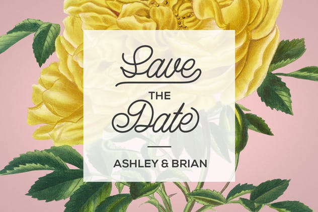 复古花卉矢量插画素材 Vintage Illustrations of Flowers插图(5)