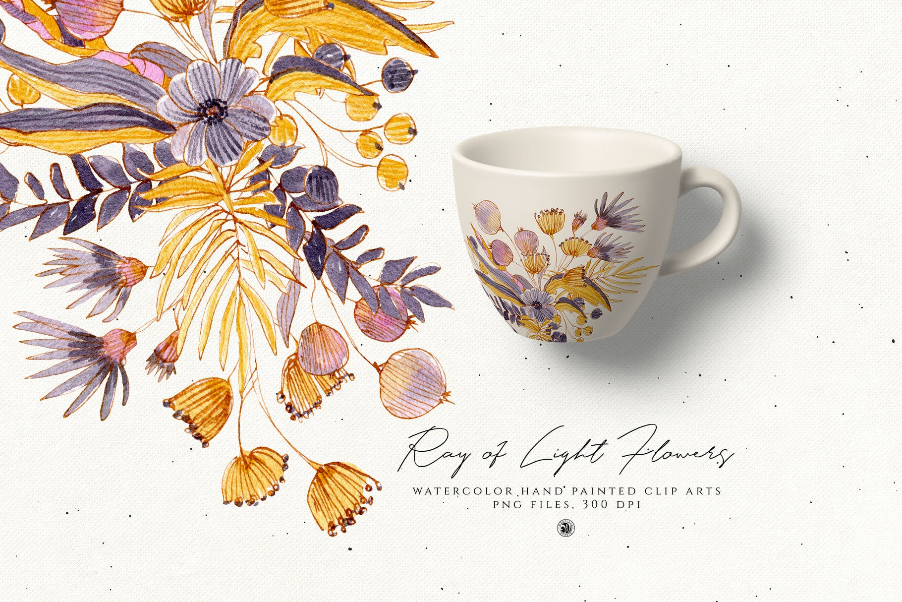 浅色优雅水彩手绘花卉剪贴画PNG素材 Ray of Light Flowers插图(2)