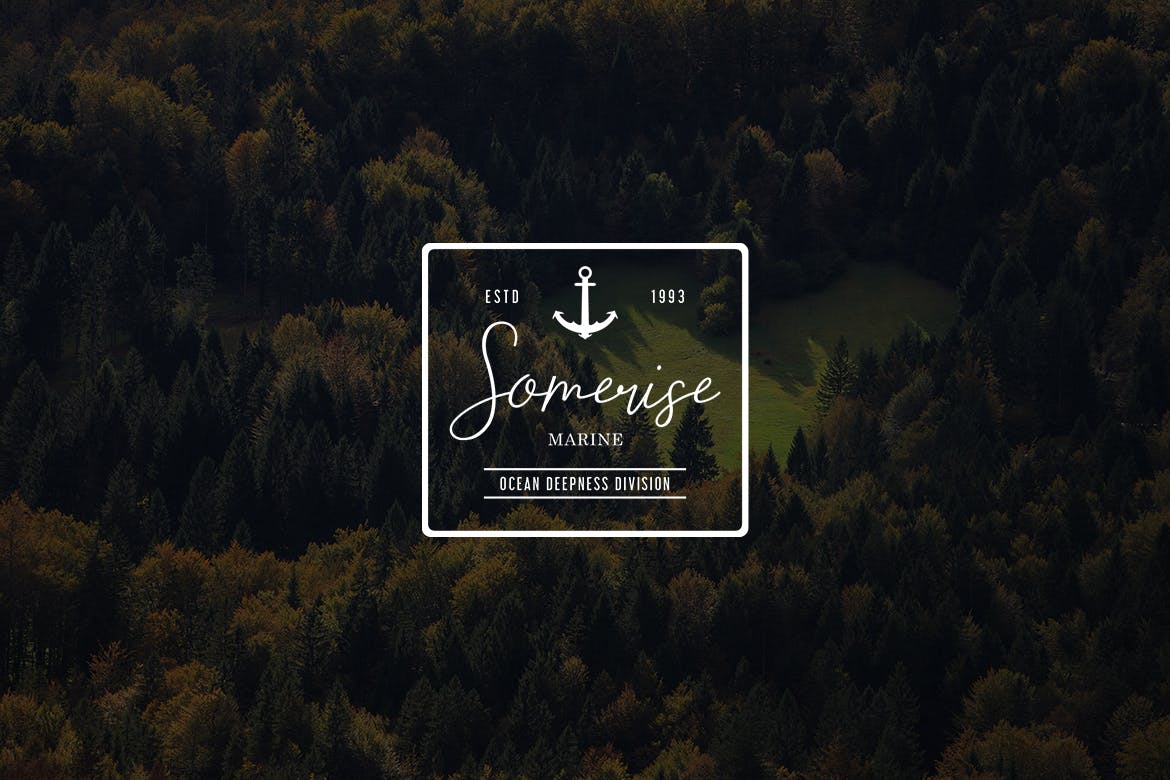 欧美复古设计风格品牌素材库精选LOGO商标模板v35 Vintage Logo & Badge Vol. 35插图(1)