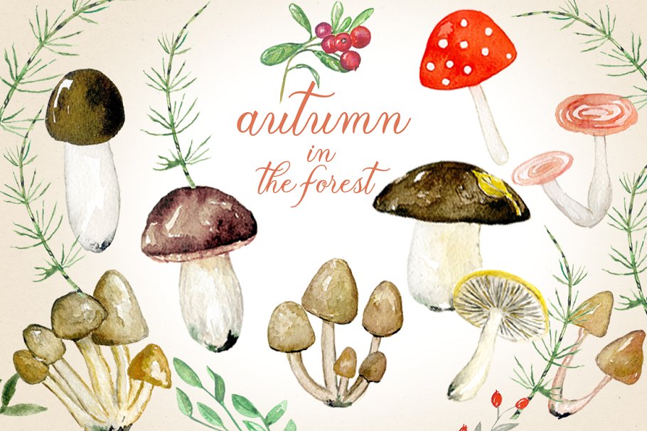 “秋天与刺猬的故事”水彩剪贴画 Autumn in the forest. Hedgehogs插图(2)