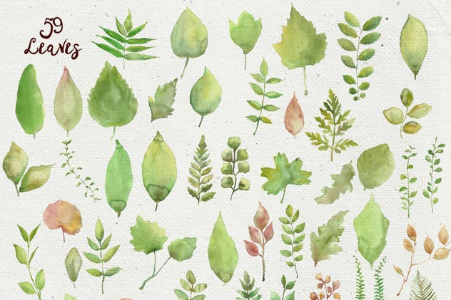 水彩花环花束剪贴画合集 Watercolor Wreathes and Bouquets插图(2)