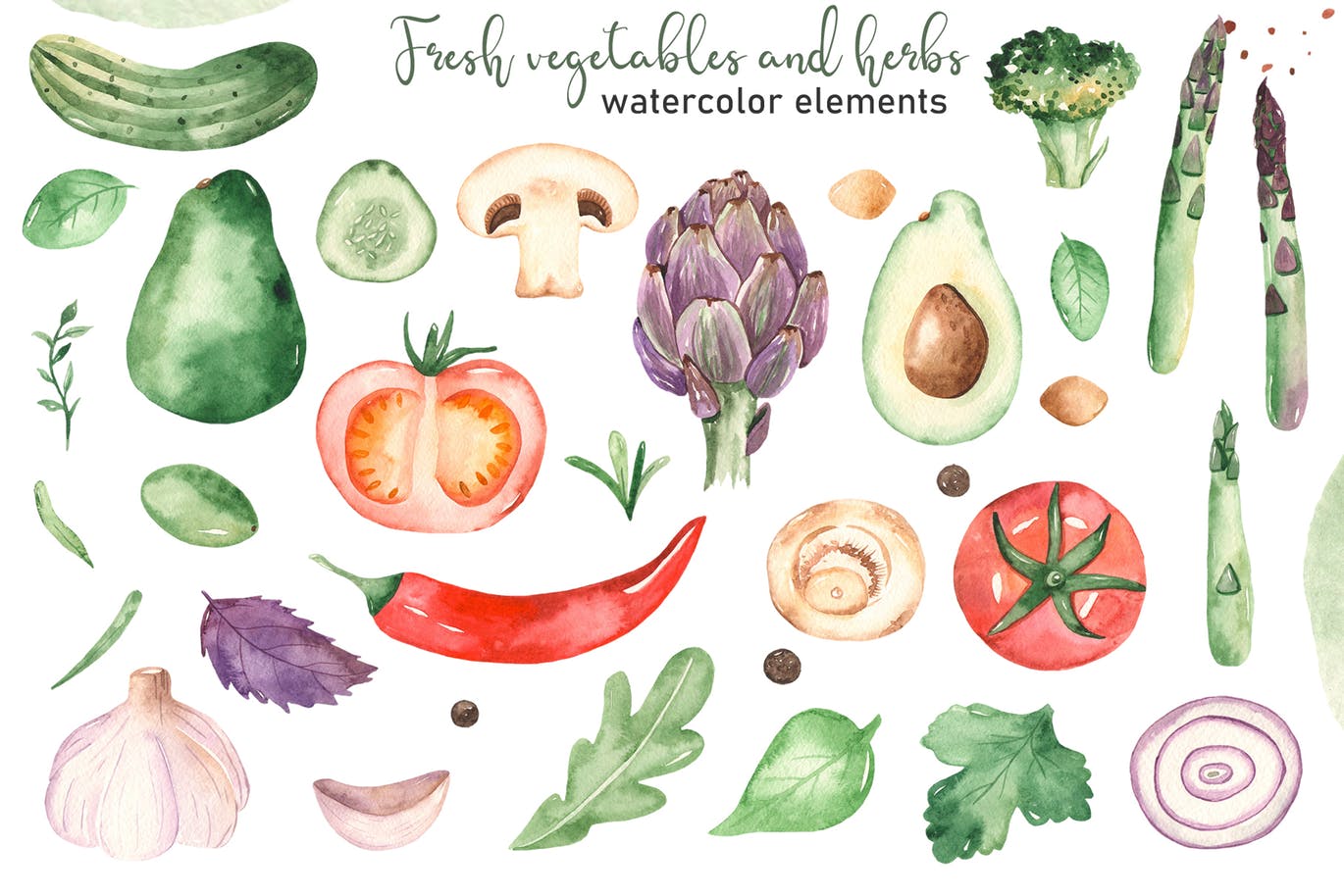 水彩手绘蔬菜＆草药剪贴画素材包 Watercolor vegetables and herbs Collection clipart插图(1)