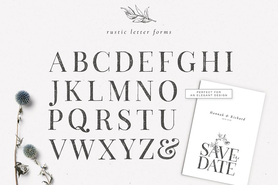 乡土气息植物、手绘字体&花卉字体 Botanical Illustrations & Monograms插图(13)