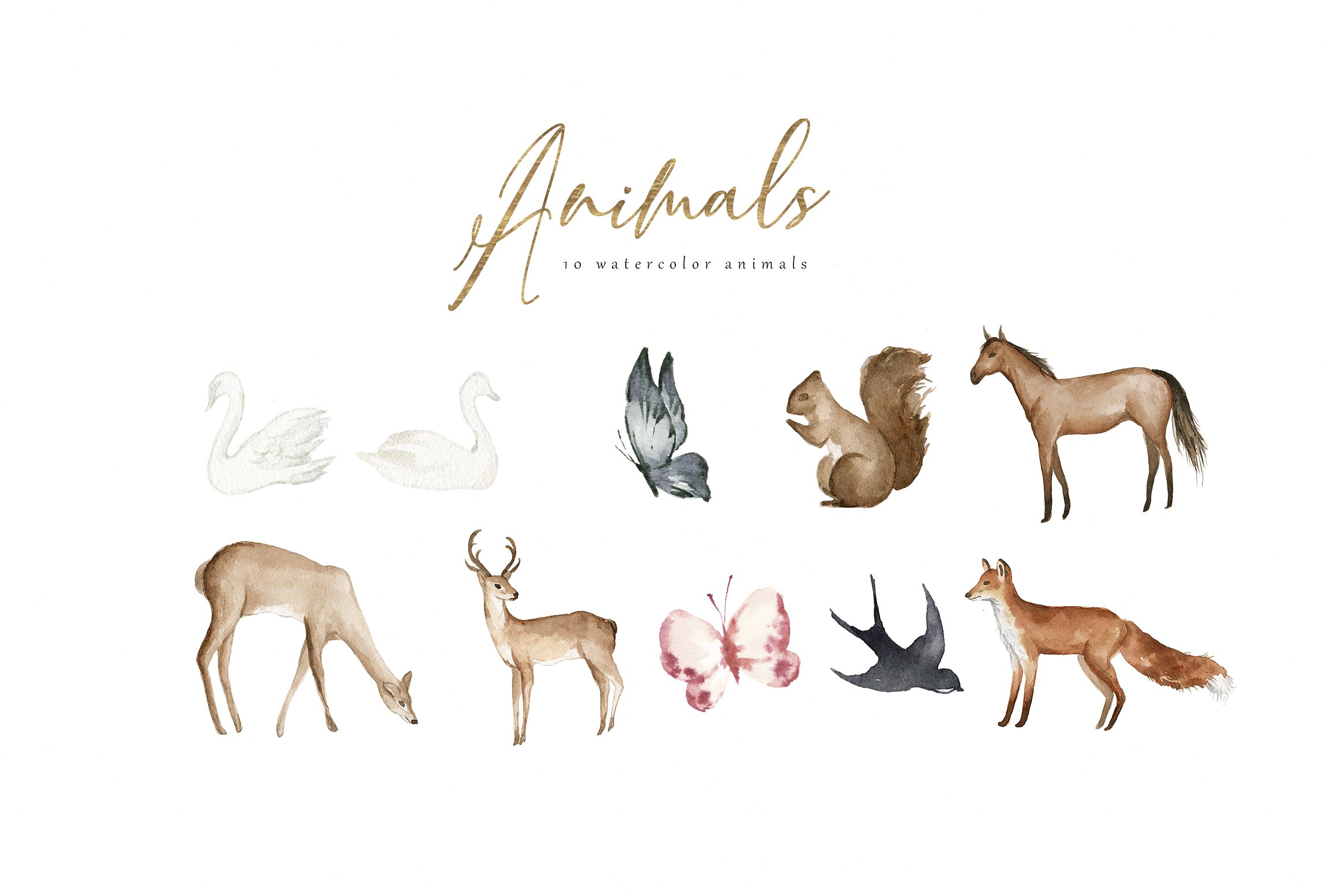 水彩手绘简易地图插画素材 Map Creator插图(9)