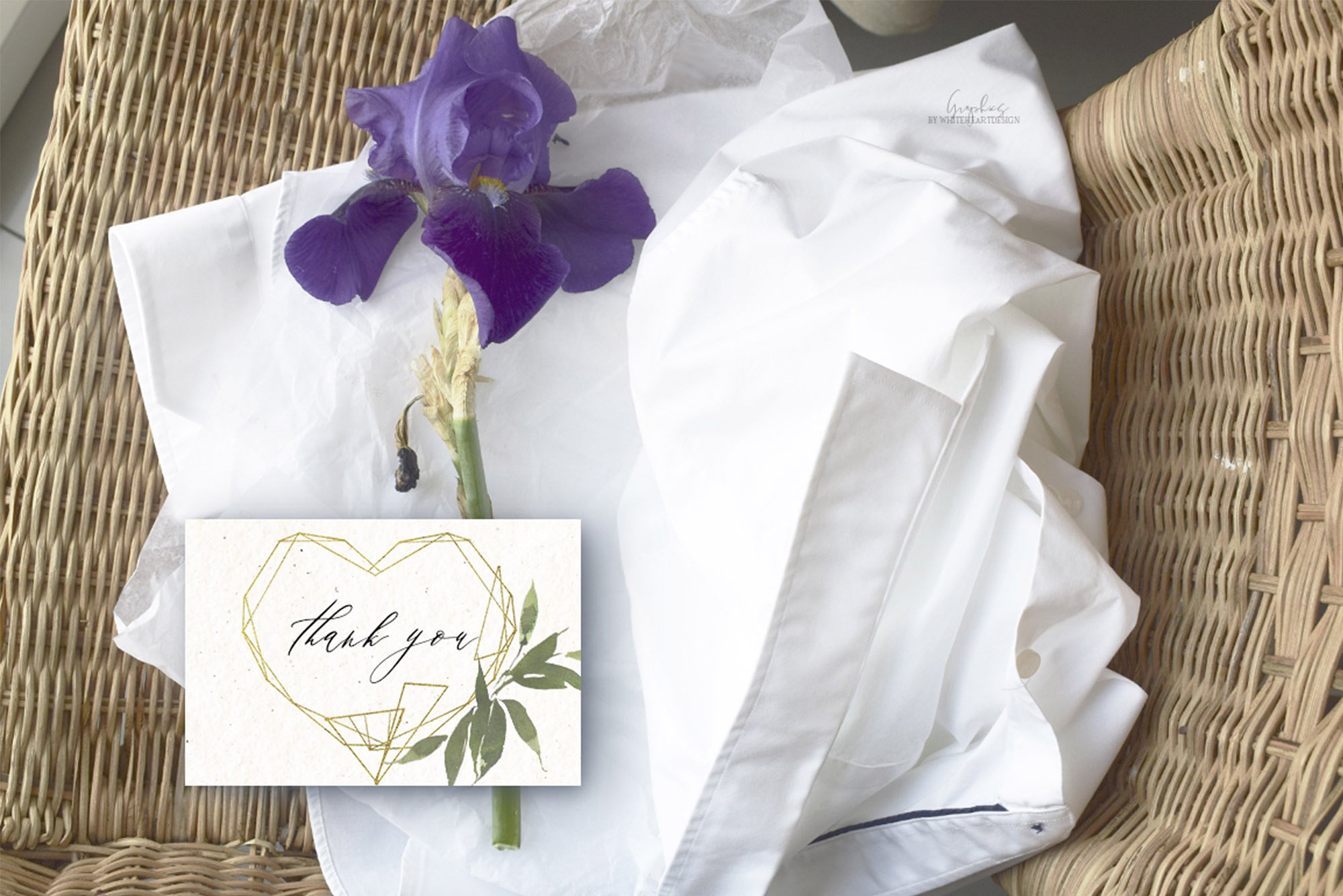 水彩画设计工具包[3.18GB] Pivoine – Watercolor Design Kit插图(19)