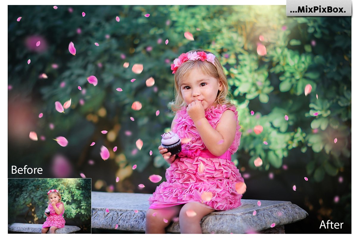 花瓣照片特效叠层插图(2)