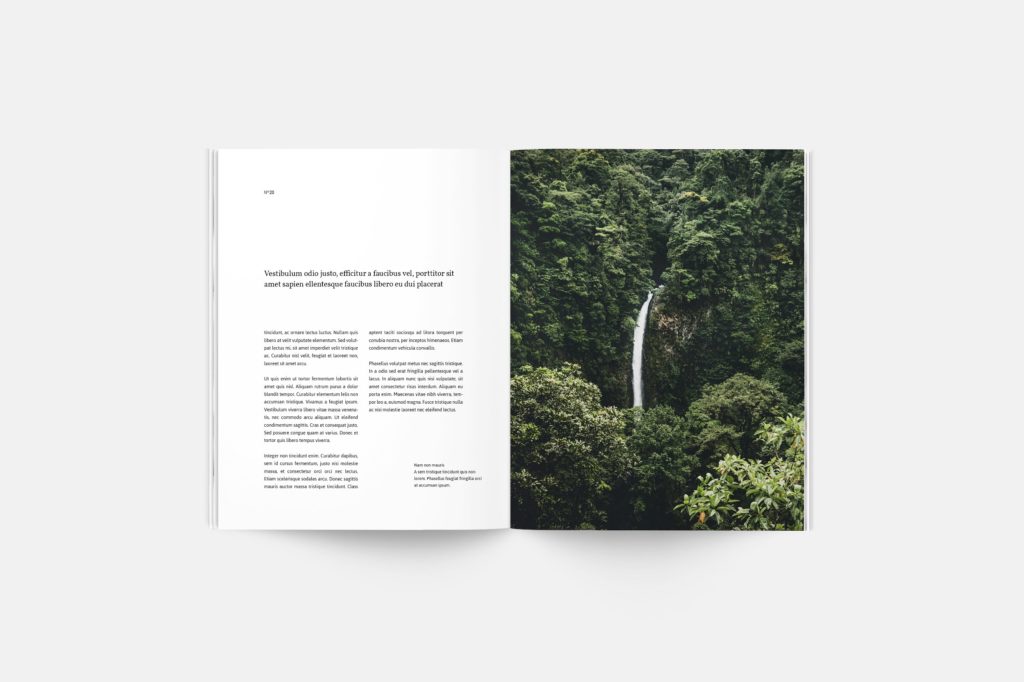 简洁干净专业的企业画册模版下载[indd]插图(12)