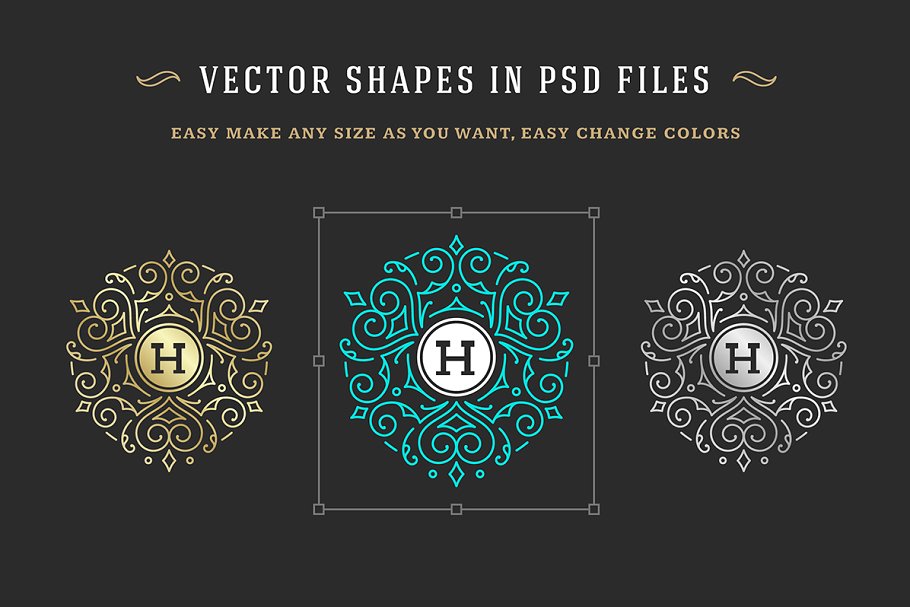 250款字母饰品组合装饰Logo模板 250 ornaments logos & monograms插图(13)