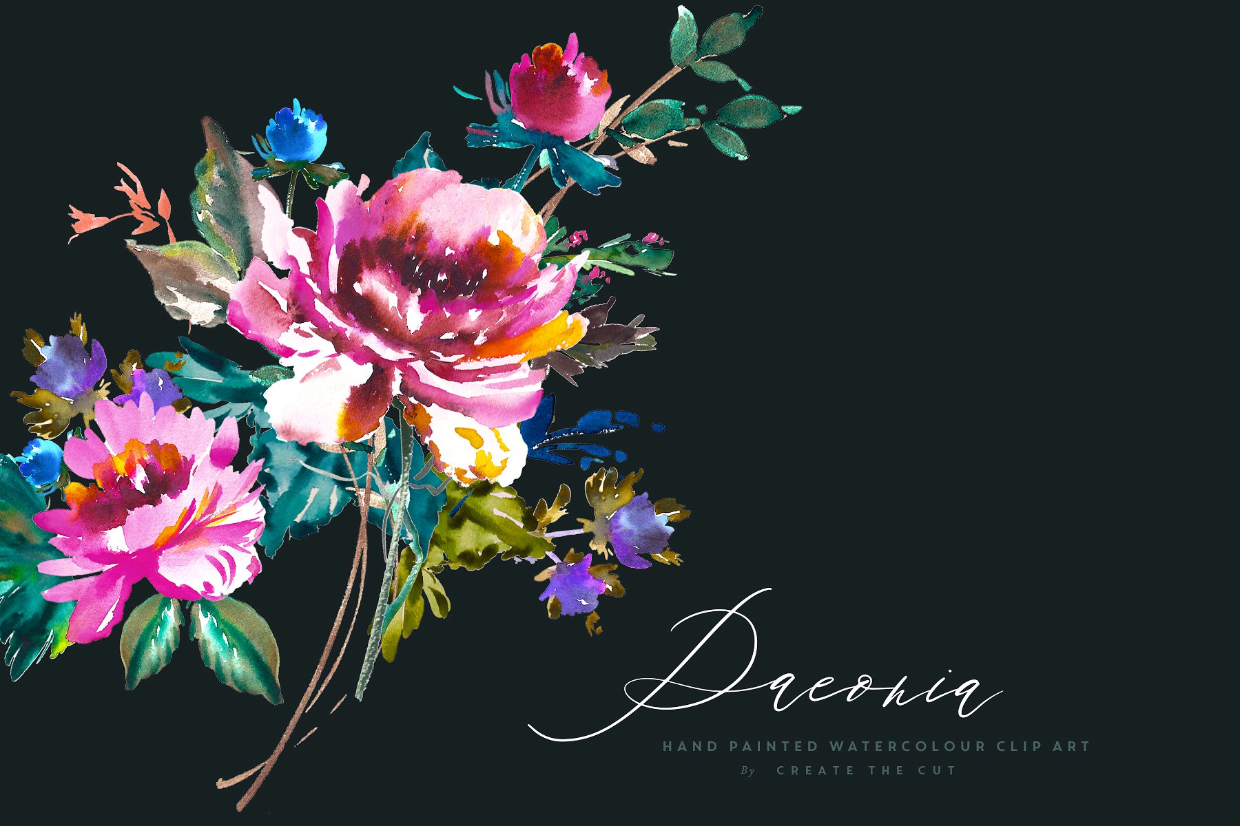 复古手绘水彩白芍花卉剪贴画 Hand Painted Clip Art – Paeonia插图(3)