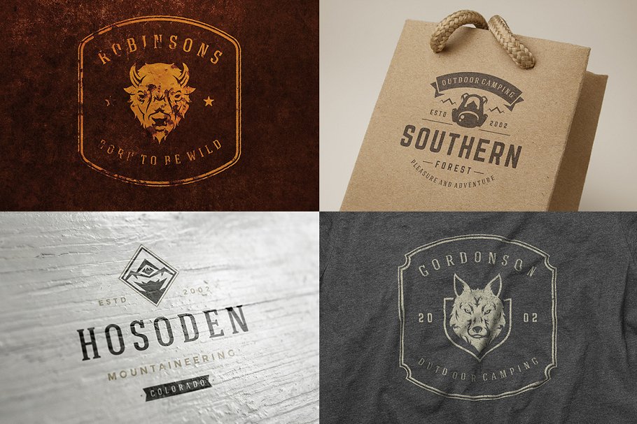 280个户外品牌Logo标志和徽章模板 280 Outdoor logos and badges插图(13)