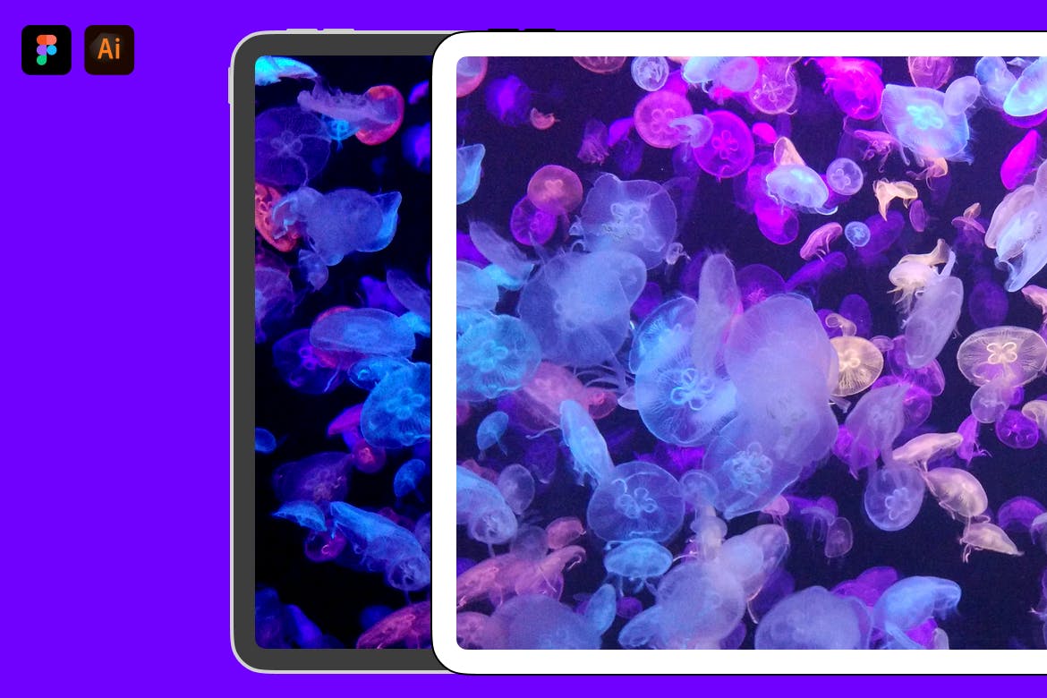 iPad＆iPhone XS扁平设计风格UI设计预览样机 iPad and iPhoneXS flat mockup 2019插图