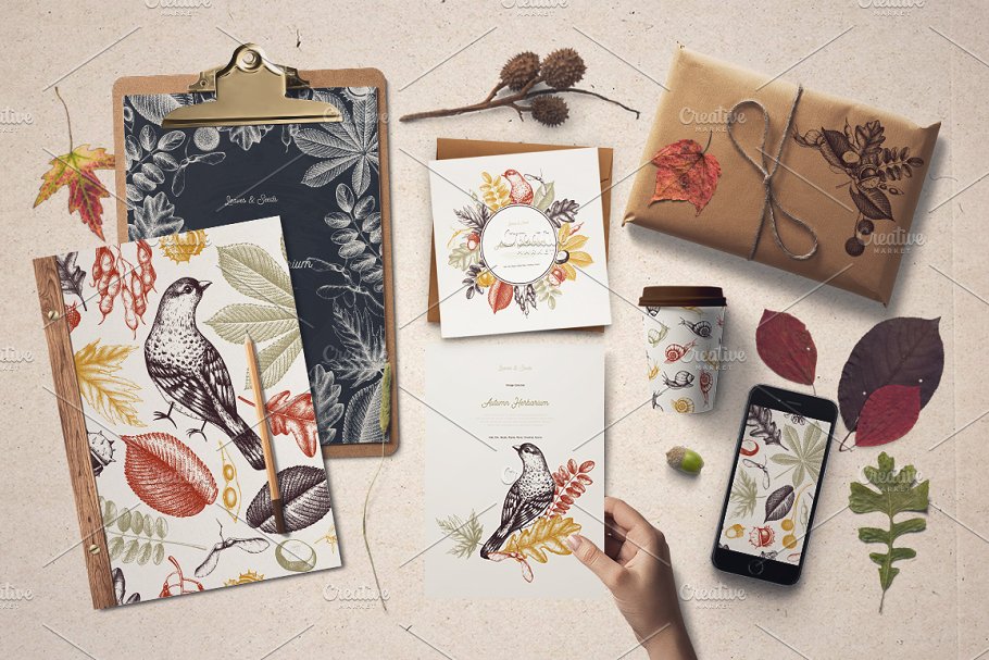 秋天树叶&种子矢量图形 Vector Autumn Leaves & Seeds Set插图(10)