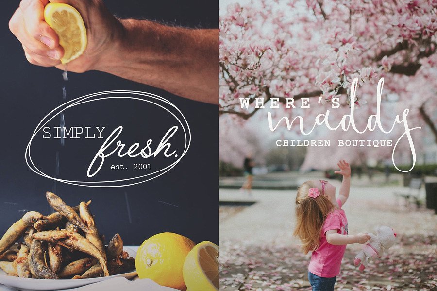 优雅文艺风十足的Logo标志模板合集 Logo Set 6插图(1)