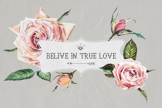 高品质水彩花卉插画合集 Florist: Watercolor Flowers Set插图(6)