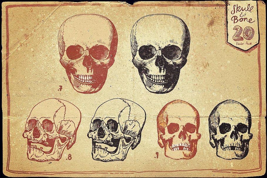 万圣节骷髅头矢量图形合集 Vintage Skull and Bone Vector pack插图(5)