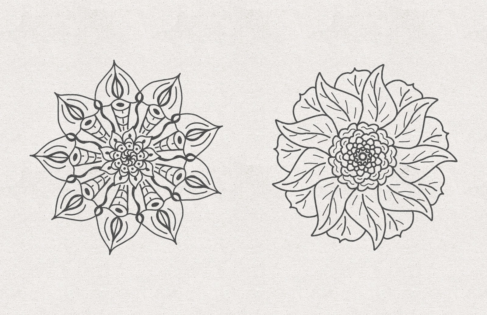 矢量花卉素材 Vector Floral Radial Illustrations [AI, SVG]插图(1)