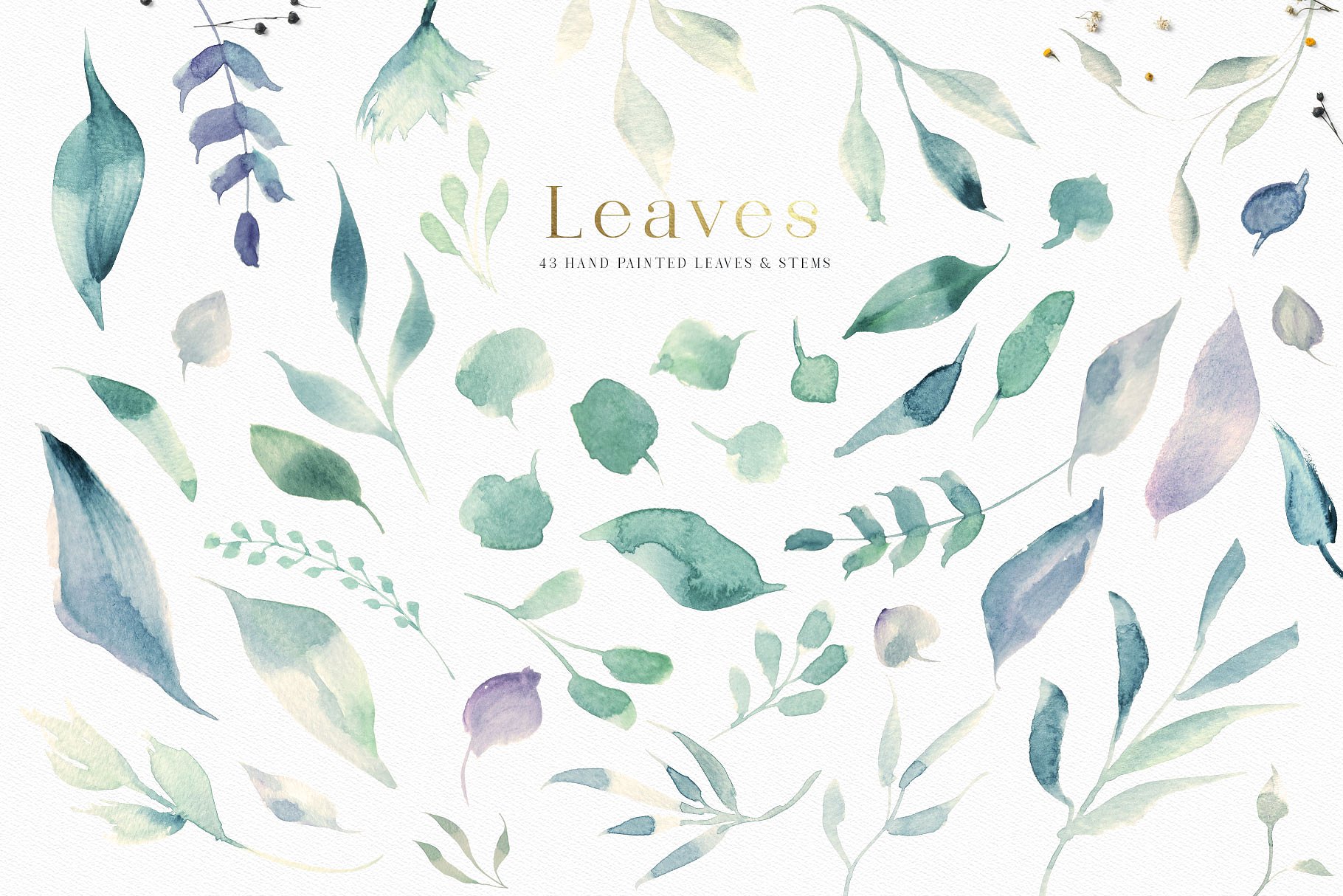 轻奢风格水彩元素合集 A Mountain Summer Watercolor Set插图(15)