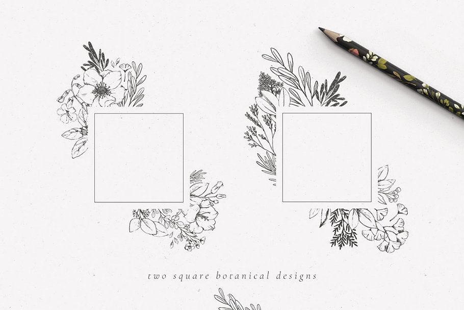 乡土气息植物、手绘字体&花卉字体 Botanical Illustrations & Monograms插图(17)