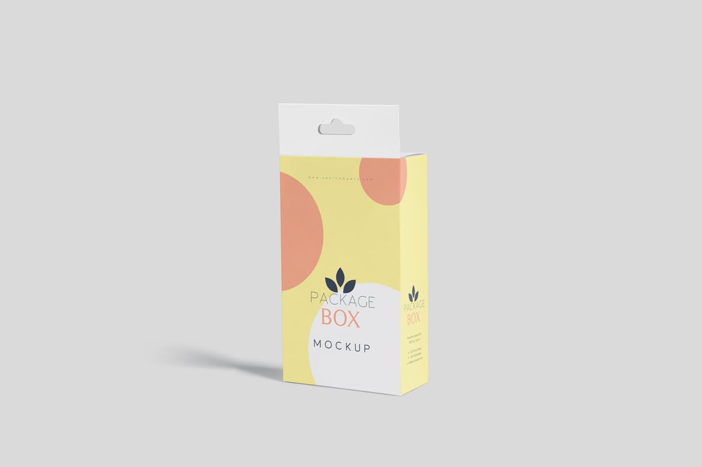 带挂耳设计扁平矩形产品包装盒效果图素材库精选 Package Box Mockup Set- Flat Rectangle with Hanger插图(5)