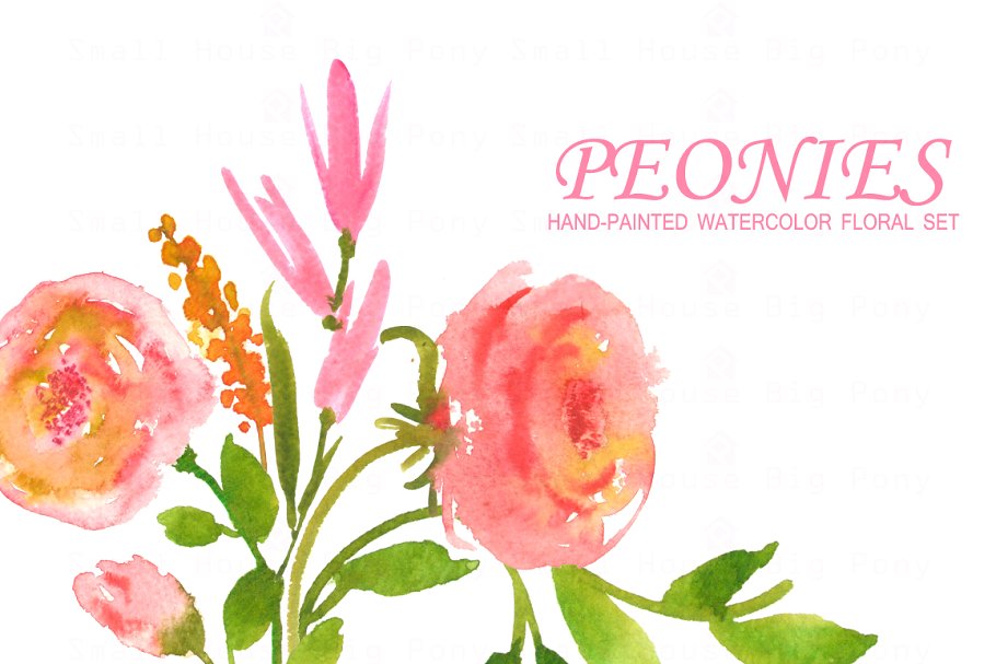 牡丹花水彩剪贴画 Peonies- Watercolor Clip Art Set插图(1)