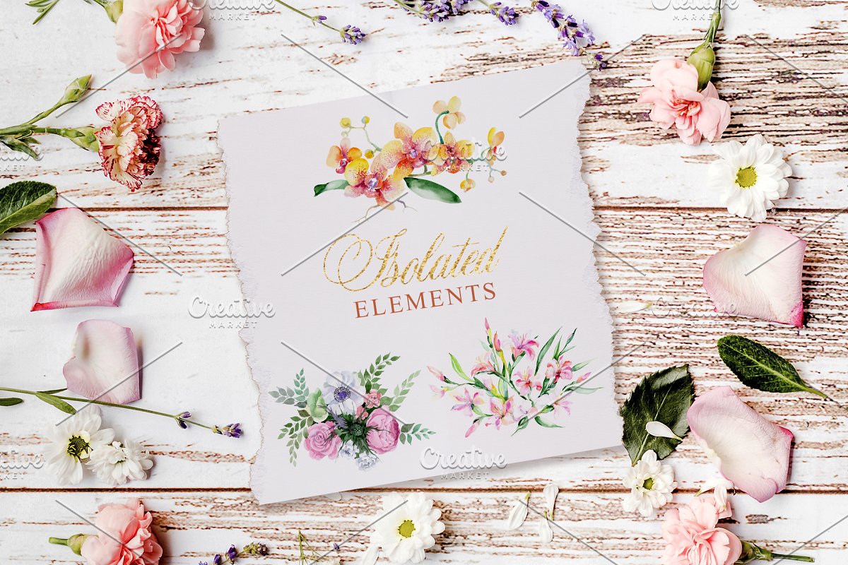 华丽的花束水彩PNG剪贴画套装插图