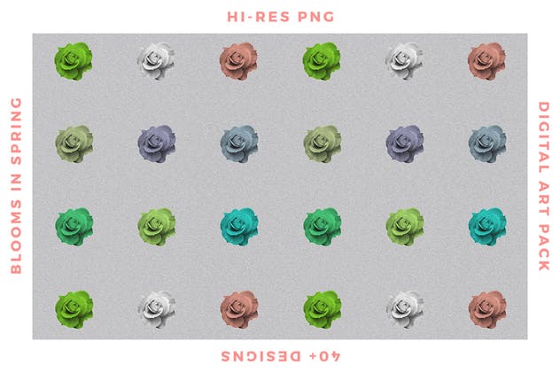 梦幻春天花卉图案纹理合集 Blooms in Spring插图(1)