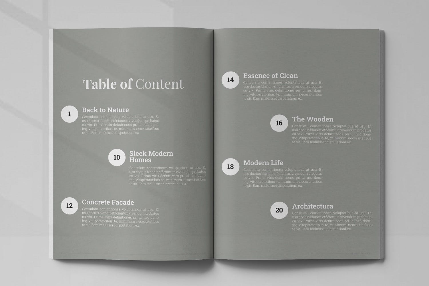 室内设计主题素材库精选杂志排版设计模板 Inscape Interior Magazine插图(2)