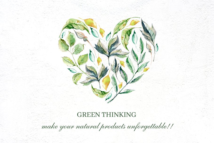 多用途魔法天马花卉系列水彩画集插图(10)