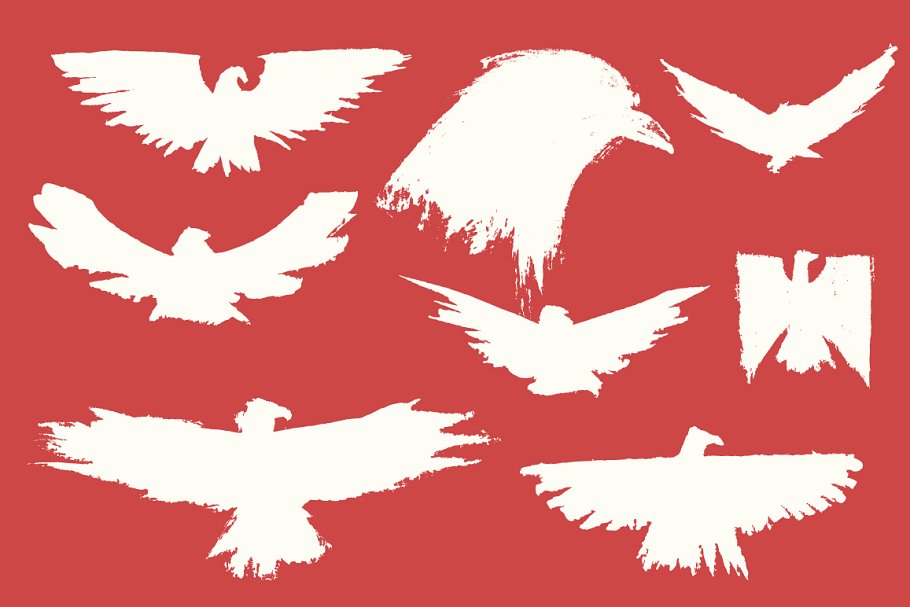 45款手绘美国元素 45 Hand Painted USA Elements插图(4)