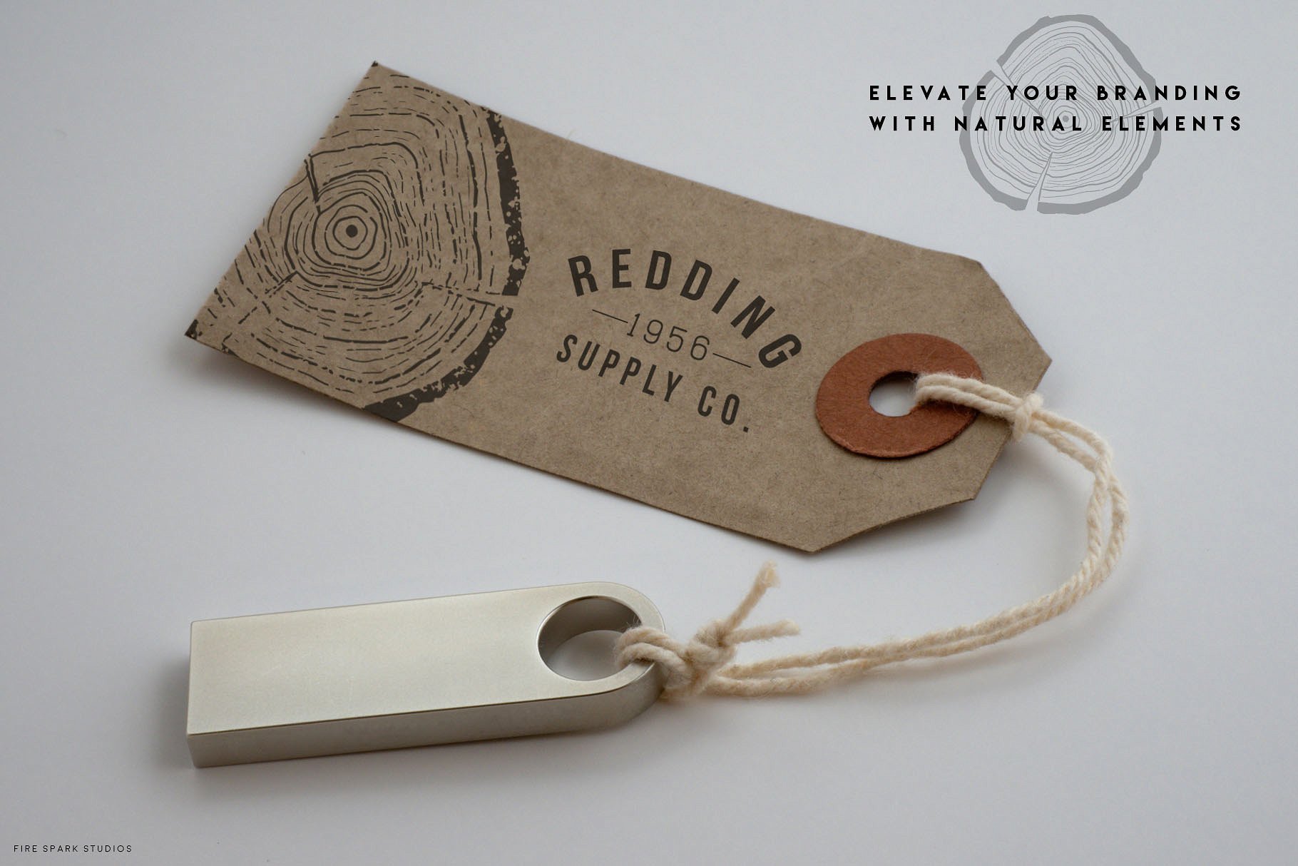 手绘树木年轮矢量图像合集 Timber – Hand Drawn Vector Image Set插图(5)