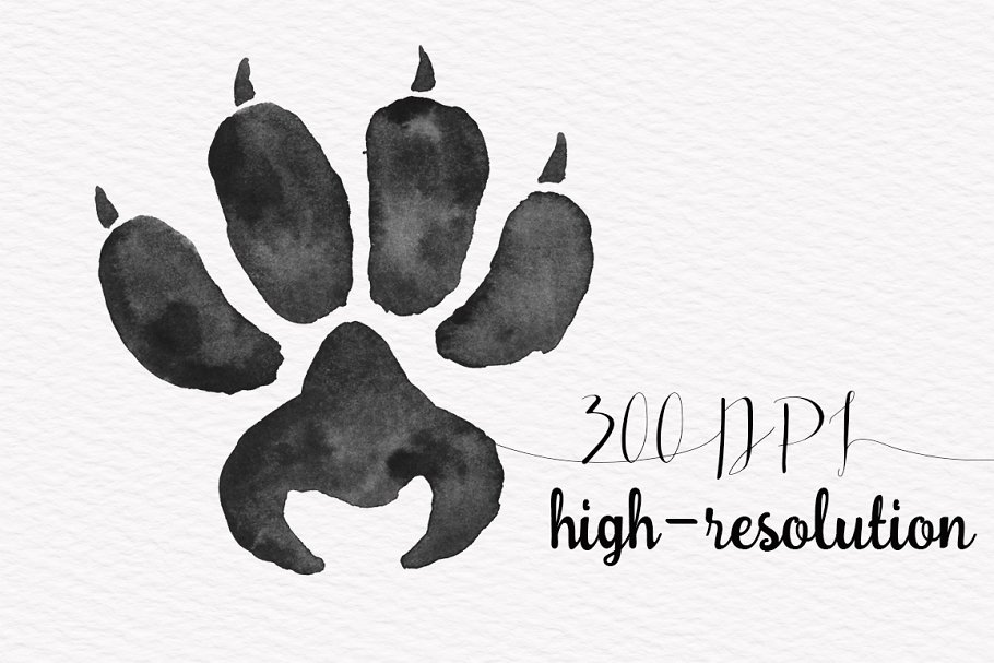 各种各样林地动物足迹剪贴画 Woodland Animals Foot Prints Set插图(1)