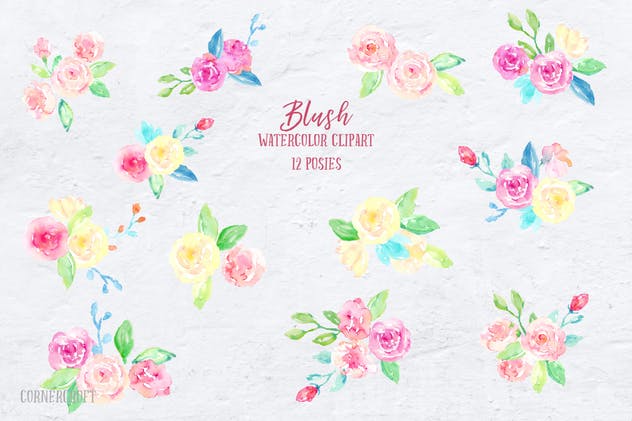 腮红水彩花卉插画合集 Watercolor Collection Blush插图(2)