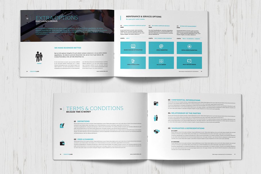 一份专业性的企业提案/创业方案小册子模板插图(8)