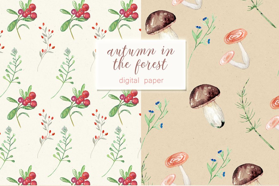 “秋天与刺猬的故事”水彩剪贴画 Autumn in the forest. Hedgehogs插图(4)