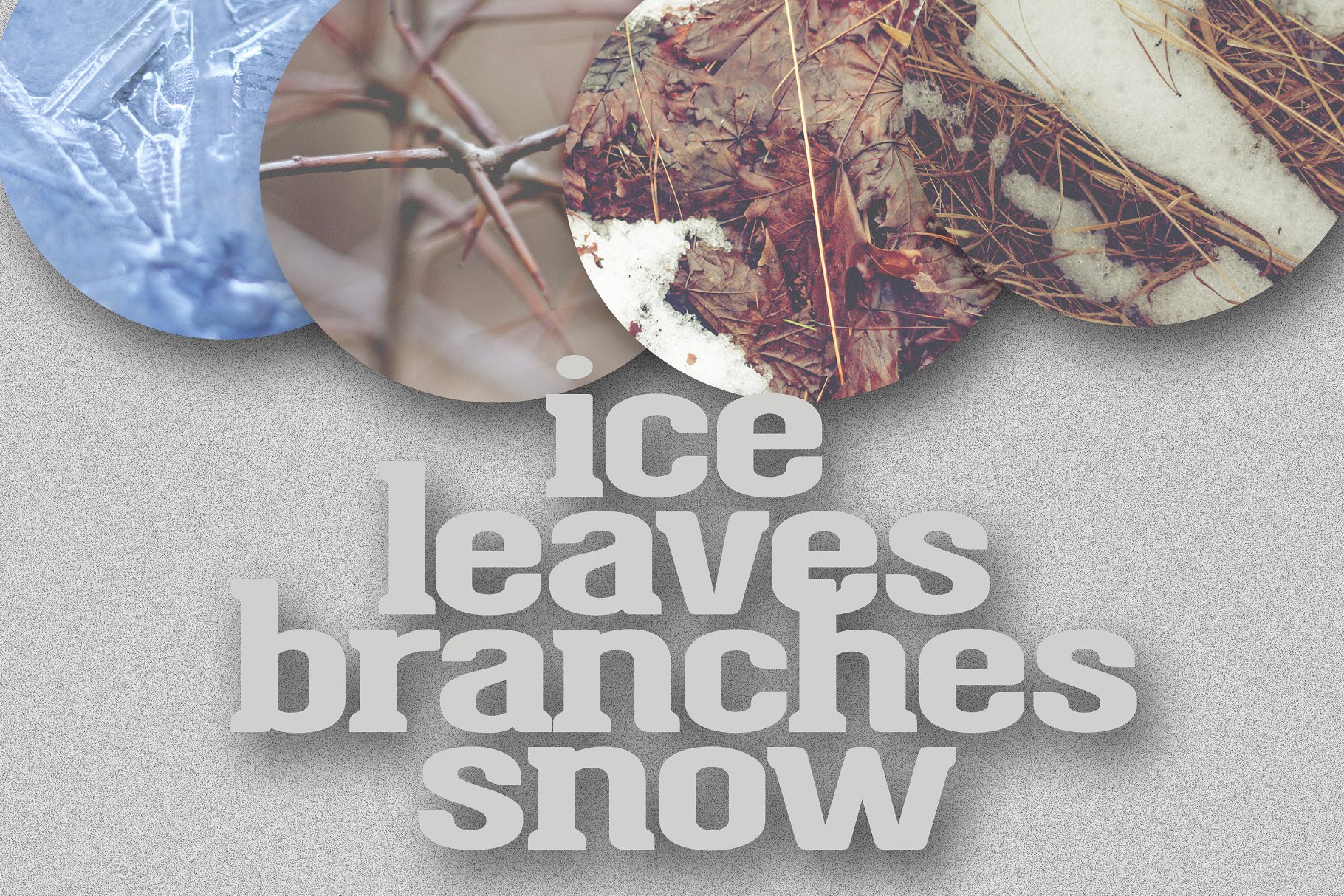 静物特写镜头高清照片素材 Thaw Photo Bundle插图(1)